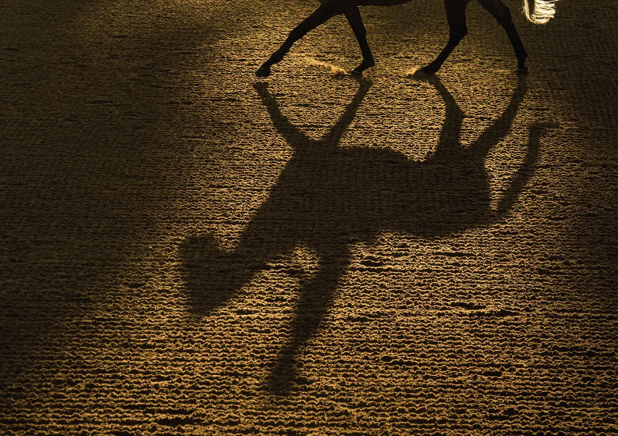A horse and rider in motion cast a long silhouette across sunlit arena footing — Attwood Equestrian Surfaces campaign imagery.