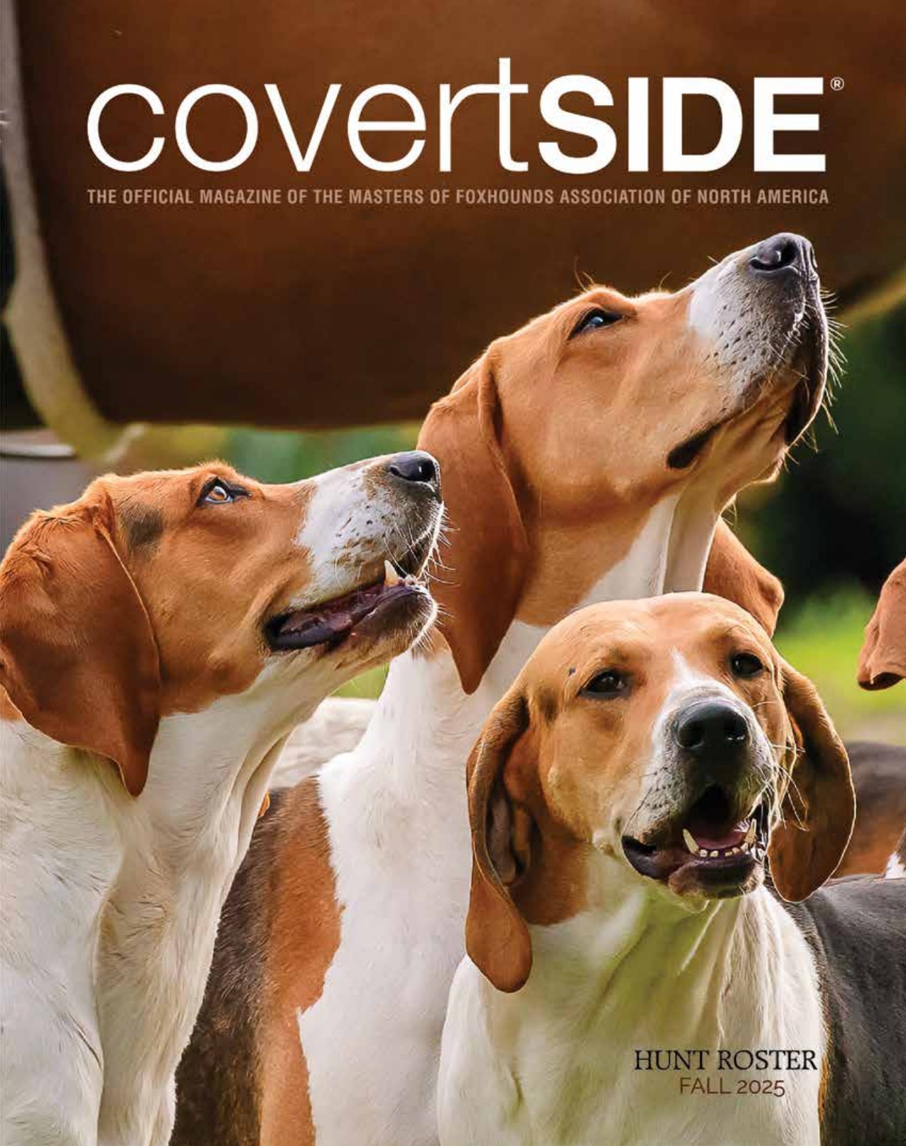 The cover of the Covertside Fall 2025 Hunt Roster — three foxhounds in warm afternoon light.